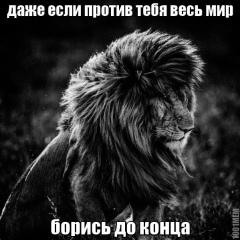 Олег Сухоруков, Санкт-Петербург