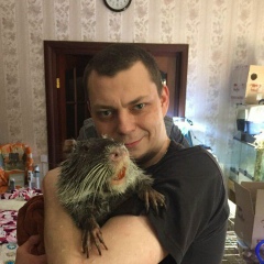 Алексей Дедов, 10.09, Москва