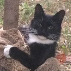 Aa Sukhinokhomenko, 05.09, Москва