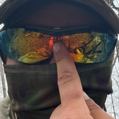 Макс Дикий, Москва