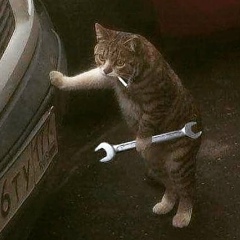 Артём Павлов, Санкт-Петербург