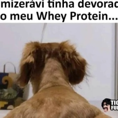 Silvio Traveller Schusti, Cachoeira do Sul