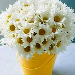 Ольга Тихоненко, 11.08, Санкт-Петербург