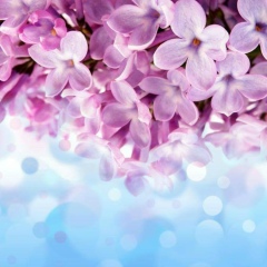 Гузяль Ушурова