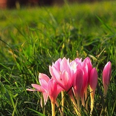 Айгерім Бердібекова, 27.12, Алматы