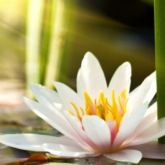 Ольга Гайдаш, 05.09.1981, Умань