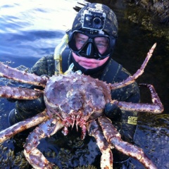 Макс Набоков, Петрозаводск