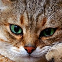 Виктор Мой, 01.03.1992, Москва