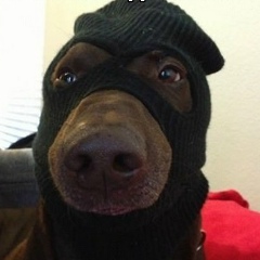 Вадим Тапочкин