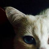 Макс Коринной, 16.07, Москва