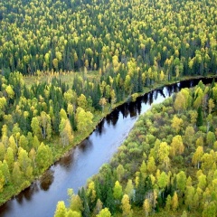 Евгений Боталов