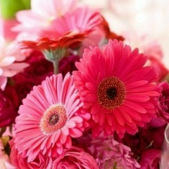 Екатерина Дмитриевна, 18.01.1992