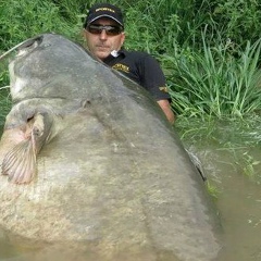 Рудик Мкртычян, 12.07.1959, Тбилиси