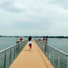 Green Poke, 23.10.2001