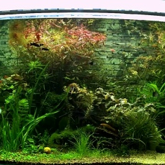 Рустем Беркимбаев, 01.09, Кызылорда