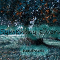 Lan Mao, 10.10.1993, Кишинев