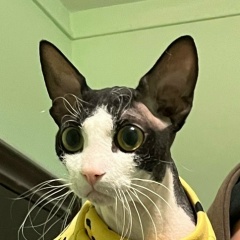 Андрей Нестерович, 21.12.1995