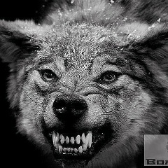 Зафар Базаров, 08.03, Самарканд