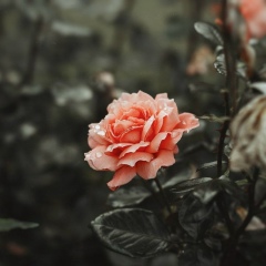 Айя Нургожина, 02.08.1993
