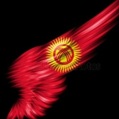 Илимбек Жолдубаев, 27.01, Воронеж