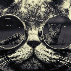 Николай Кузнецов, 12.08, Москва