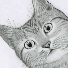 Евгения Педантова, 18.10.1994, Казань