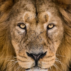 Глеб Бальсун, 22.01, Уфа