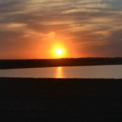 Денис Орлов, 16.08, Одесса