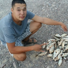 Чингиз Тайбагаров, 24.04, Алматы