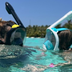 Алия Павлова, Москва