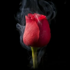 Анна Маркова, 13.02