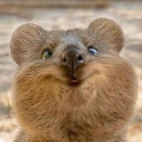 Сергей Макаров, 22.09, Витебск