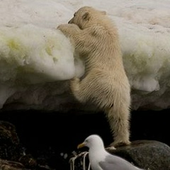 Лана Дьяконова, 25.09, Бийск