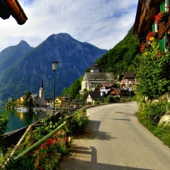 Камелия Волкова