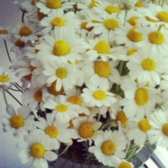 Татьяна Полонская, 18.02.1989, Киев