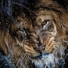 Али Барзукаев, 19.02.1997, Грозный