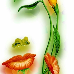 Алёна Рыдванская, 18.02