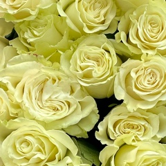 Ирина Бондаренко, 31.05, Караганда