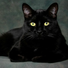 Александр Мазин, 27.06.1987, Алматы