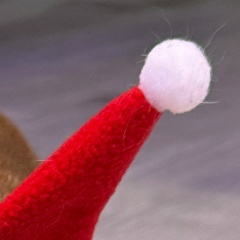 Богдан Печенюк, Москва