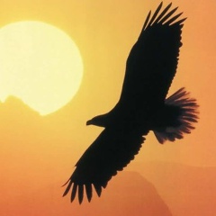 Елена Понятовская, 15.09, Минск