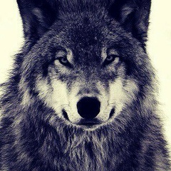 Ернар Каиров, 31.12