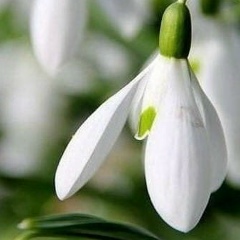 Александра Ветошкина, Обнинск