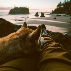 Meylis Saparov, 04.10