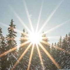 Дмитрий Рыбальченко, 29.12.1902