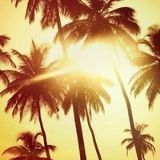 Ольчик *), 22.01.1990, Москва