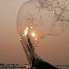 Евгения Попова