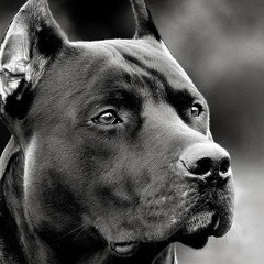 Maxim Sokolov, 18.08.1987, Киев