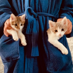 Жанибек Серикбай, 31.08.1993, Костанай