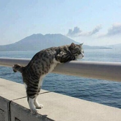 Евгений Шангин, 26.03, Череповец